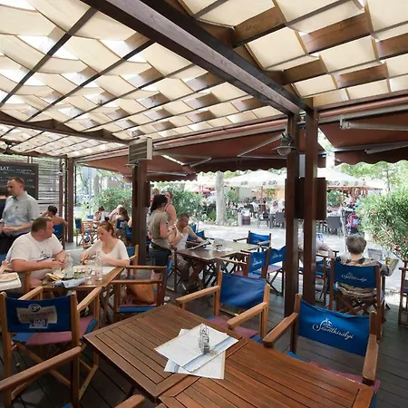 Attila Boglár Сasa de vacaciones *